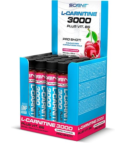 Weider Supplement L-Carnitine Liquid 1.800 mg - 500 ml, Citrus : Amazon.de:  Health & Personal Care