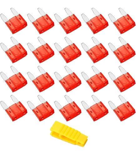 Fusibles Lame Standard 30A ATO - Lot De 10 - Pour Voiture Camion Circuit électrique