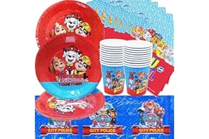 DOYOMTOY Juego de vajilla de cumpleaños, juego decorativo de cumpleaños, incluye platos de 20 de 9 pulgadas, 20 tazas y 20 servilletas, mantel para 20 niños, regalo de cumpleaños, decoración de fiesta, fiesta