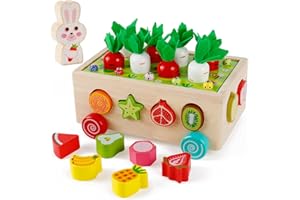 Sterneer Juguetes de Aprendizaje Montessori, Juguetes de Madera, Cubo Adhesivo para Clasificar y Apilar, Regalos para Niños de 1 2 3 4 Años