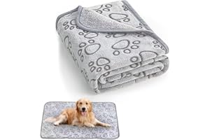 QUIIEOSKIA 1 Pcs Dog Blankets, Washable Puppy Blankets, Soft Pet Blankets for Small Medium Dogs and Cats, Kitten Cat Blankets Pet Cover Blankets for Sofas, Beds, Car Seat Flannel Dog Throw Blankets, 41x30"