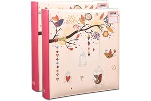 2 x Photo Album 200 6 X 4'' / 15 x 10 cm Photos Slip in Picture Album CD/DVD Pocket Memo Writing Area - Gifting Album by Arpan (Vintage Art Deco Style)