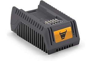 MOWOX Chargeur de Batterie Lithium 40V