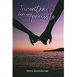 Incontrarti non era previsto: small town romance