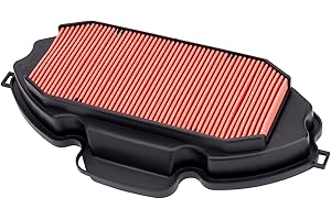 Road Passion 17210-MGS-D30 Motorcycle Filtro de Aire Compatible con HONDA NC700 NC 700 2012 2013 2014 2015 2016 2017 2018 /CTX700 CTX 700 2014 2015 2016 2017