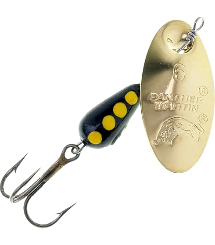 Kit Pesca Spinning Per Trote - Canna 1,80 O 2,10m, Mulinello Brutal 1000, Cucchiaini