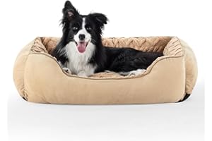 MIXJOY Large Dog Bed - Washable Super Soft Pet Bed | Calming Dog Bed | Rectangle Pet Bed | Low Front Edge Dog Bed with Anti Slip Bottom for Golden Retriever, Border Collie, Beige, 76×61×23 cm
