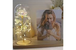 uniqicon Gifts for Women,Beauty and The Beast Rose Lamps for Living Room,Anniversary Gifts for Her, Presents for Women, Eternal Rose Flower Gifts for Valentine's Day, Mother's Day, Birthday