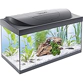 Tetra Starter Line 54 l aquarium complete set &ndash; day and night light LED lighting, internal filter, heater, fish food and water pleasure