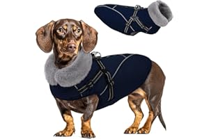 QUEENMORE Manteau Chien Hiver avec Harnais, Manteaux Imperméables pour Chiens, Doudoune Imperméable pour Chihuahua/Pomeranian/Yorkshire Terrier
