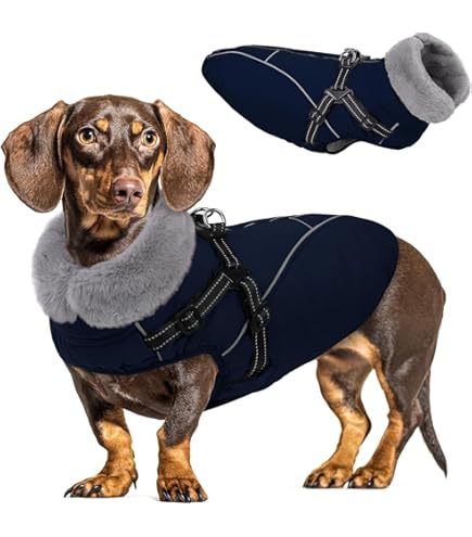 Beeztees Caro reflecterend - Honden regenjas - grijs - 2XL