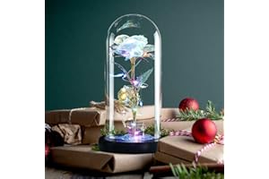 Hobyhoon Birthday Gifts for Her, Eternal Fake Roses Wedding Anniversary Valentines Gift for Her Nan Birthday Everlasting Artificial Forever Galaxy Flower Lights in Glass Dome for Christmas