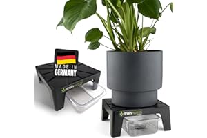 DrainMaster® Flower Pot Saucer 24 x 24 cm – Single Set Including Drain Tray – Plant Saucer Square Flowers Plants Drainage Indoor/Outdoor – Ideal Accessory for Grow Tent – Made in Germany