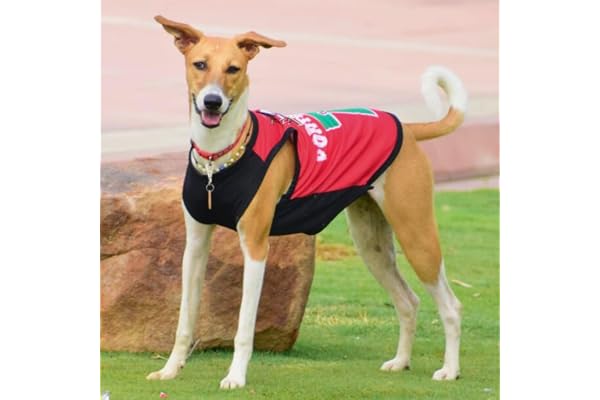 Lulala Dog Shirts Portugal 7 Printed Clothes with Summer Pet T Shirts Cool Puppy Shirts Breathable Dog Outfit Soft Dog Sweatshirt for Pet Dogs Cats (Red, 12 INCH)