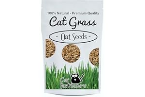 CAT FURNATURE .CO .UK Cat FurNature - Cat Grass Seeds - Oat