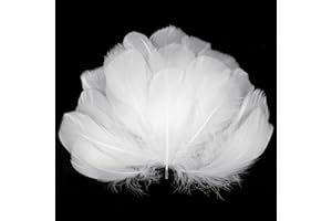 AOOTE Weiße Federn zum Basteln,100 Stück Deko Federn,6~12cm,Natürliche Feder,Weich Federn,Flaumfedern,Feder Handwerk für DIY Ohrring,Kopfschmucksfedern,Traumfänger,Hochzeit,Ostern,Weihnachten