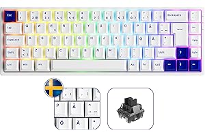 Akko 3068B Plus Tastiera Meccanica RGB, Layout ISO-Nordic QWERTY Mini Tastiera da gioco Compatta al 60%, 3 Modes/Hot Swap/tasti PBT/profilo Cherry, interruttore lineare CS Jelly Black (blu su bianco)