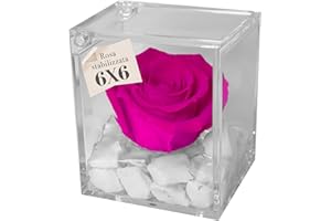 PREMIUM-ROSE.COM PREMIUM ROSE - Cubo Rosa Stabilizzata Fucsia 6 cm con Marmo di Carrara - Rosa Eterna Stabilizzata Made in Italy - Idea per Chi Ama Colori Vivaci e Giovani Donne - Fucsia 1062