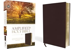 Amplified Holy Bible, Bonded Leather, Burgundy: Captures the Full Meaning Behind the Original Greek and Hebrew