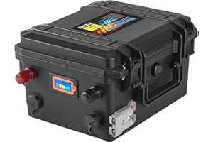 WannaPow 12V 120Ah LiFePO4 Batterie,1536Wh Lithium Akku mit 100A BMS,Max.15000 Zyklen Ladezyklen,Unterstützung in Serie/Parallelschaltung,Perfekter Ersatz für Blei-Säure für Wohnmobile,Solaranlage