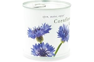 MacFlowers chabry – kwiaty w puszce