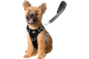 TUFFDOG Easy-Fit Dog Harness Small Dog - Fast Release Neck Clip, Premium Padded Reflective No Pull Harness with Control Handle, Adjustable Step-in Dog Vest Plus Free Matching Lead (S, Raven Black)