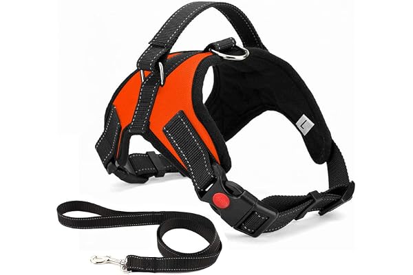 Musonic Harnais pour Chien sans Traction, Confort Réglable et Respirable, Laisse Incluse, pour Petit Moyen et Grand Chiens, Idéal pour l'Entra?Nement et la Marche (L, Orange)