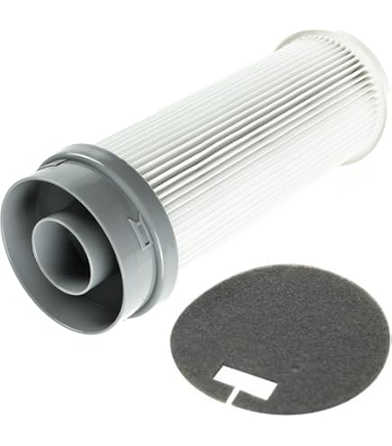 2x Vormotor Filter Für Vax Power 6 Pet Cylinder Vacuum Cleaner C89-P6N