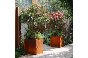 ‎CZAJA Czaja Cortenstahl Pflanzkübel 60x60x60 cm Fiorella mit Bodenplatte - Made in Germany - Rost Deko Blumenkübel quadratisch – wetterfest & langlebig – Garten Terrasse Balkon – Edelrost Pflanzgefäß