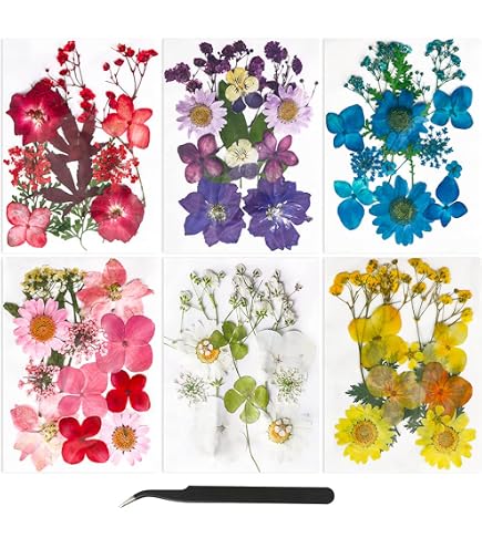 Fleurs Séchées Pour Nail Art - 12 Couleurs, Vraies Fleurs, Boîte Transparente - 9