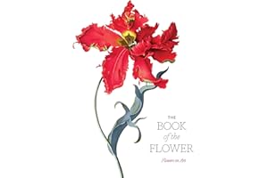 The Book of the Flower: Flowers in Art