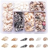Funngy Small Sea Shells,100 PCS Mixed Sea Shells Mini Mixed Sea Shells Decorative Sea Shells Crafts Sea Shells Ocean Theme Sh