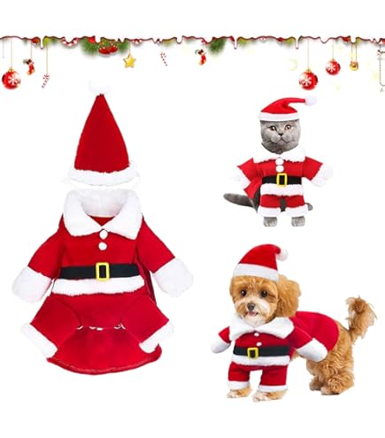 Weihnachtskostm Fr Hunde & Katzen  Rentier Hundemantel Mit Geweih  Lustiges Christmas Costume Hundejacke Weihnachten
