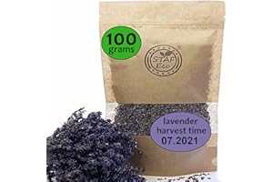 STAFECO Lavendel Lavendelblüten, getrocknet, 100% natürlich, geerntet im 2024, aus nachhaltigem, biologischem Anbau, als Tee, Potpourri oder Mottenschutz geeignet (100)
