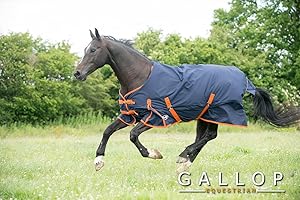 Gallop Trojan 600d Standard Neck 50g Turnout Rug