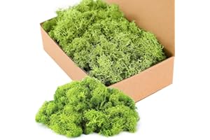 HRKVSK Moos Zum Basteln, 200g Islandmoos zum Basteln, Moos Deko, Konserviertes Moos, Künstliches Moos, Kunstmoos, Moos Konserviert, Bastelmoos für Moosbilder, Als Deko Oder Zum Basteln