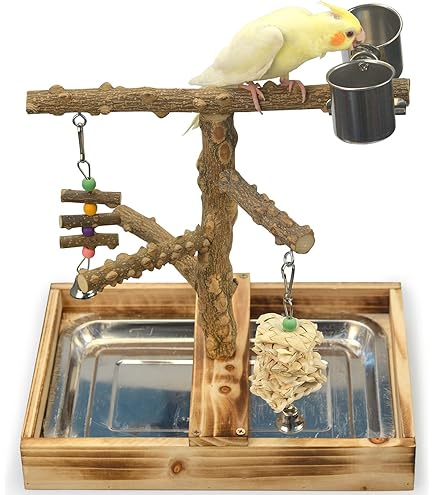 Gigicloud Natural Wood Parrot Stand – U-Shaped Perch With Food/Water Holder, For Small Birds