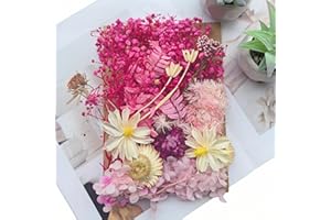 JiaaOne Natural Dried Flowers for Crafts, Premium Pressed Flowers with Cardboard Backing, Dry Flowers for Decoration, Craft Flowers Ideal for DIY, Resin Accessories, Wall Art, Gift Making (Pink)