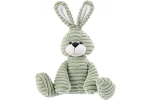 Apricot Lamb Jouets en Peluche en Velours côtelé Lapin Bunny en Peluche Doux câlin Parfait pour Enfant （Lapin en Velours côtelé，Vert，23cm）
