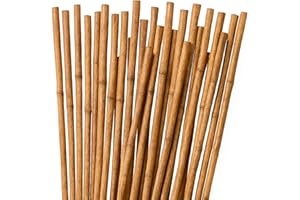 GENÉRICO 100 Tutores de Bambú para Plantas 120 cm (Ø 10–12 mm) | Estacas de Jardín y Cañas para Huerto | Soportes Resistentes para Macetas, Flores y Cultivos | Color Natural | Eco-Friendly