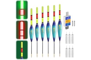 ‎ACAREY ACAREY LED Posen Angeln Set mit Bissanzeiger, Doppelfarbige Nachtfischboje, Leuchtposen Angel 4g/5g/6g/7g/8g/9g Tragkraft, Inkl. Batterien Ladegerät, Angelzubehör Für Fluss und See
