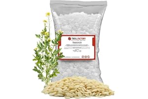TFC TROLL FACTORY TFC Cire de colza 1 kg – Cire de bougie de qualité supérieure pour couler et décorer – Idéal pour les bougies parfumées et les ensembles de bougies DIY – Biodégradable
