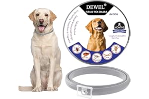 DEWEL Collar Antiparasitarios, 8 Meses de Protección, Collar Antipulgas y Garrapatas para Perros y Gatos, para Mascotas, Longitud Ajustable y Cortable, Gris, 63.5 cm