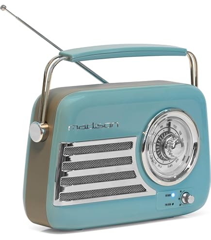 PerfectPro NBX2 NETBOX bouwradio FM RDS - DAB - bluetooth - AUX-in