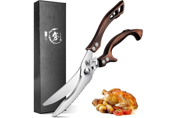 DRAGON RIOT Ciseaux de Cuisine Professionnels en Acier Inoxydable - à Volaille, Viande, os, Bord Dentelé - Avec Boîte Cadeau pour Poulet, Légumes, Poisson, Turquie