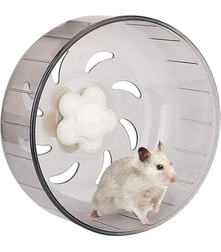 Cyrank Ruota Per Criceti Silenziosa | Giocattolo Esercizio Per Piccoli Animali | Materiale Traslucido - Foto 6