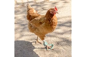 vomvomp Pack of 2 Protective Shoes for Chicks, Chicks, Hens, Turkey, Paws, Paws