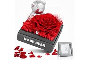 BoriYa San Valentin Regalos Mujer, Rosa Eterna Natural Preservada, Rosas Eternas con Collar, Flor Eterna con Osito, Caja de Regalo Aniversario Pareja, Regalos Cumpleaños para Mujer Joven Kit