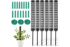 OFFCUP Pali di muschio in plastica, 6 x 25 cm/50 cm, supporto per piante rampicanti, pali per piante rampicanti, con fascette ed etichette, paletti per piante da interno ed esterno (nero)