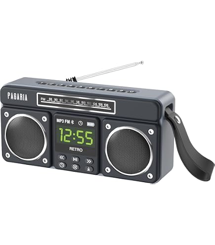 Sony SRF-R356 PLL Synthesizer Radio, FM/AM/Wide FM Compatible